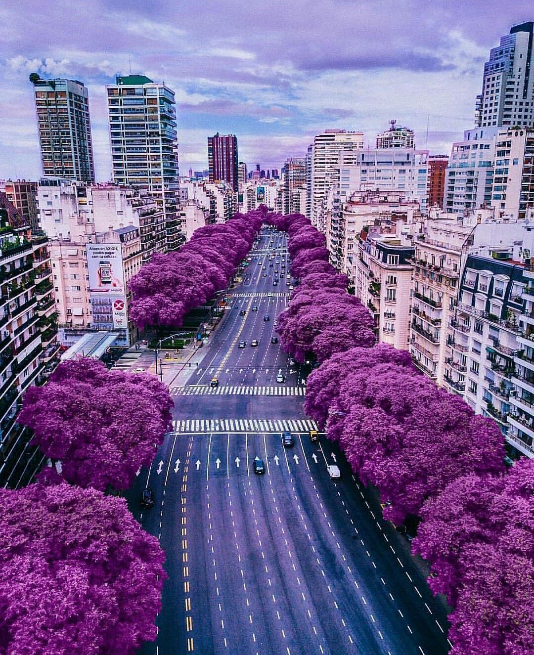 Avenida del Libertador