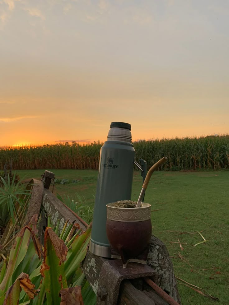 Traditional Argentine mate
